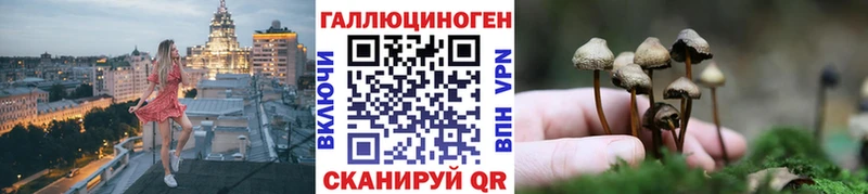 мега ССЫЛКА  Глазов  Псилоцибиновые грибы прущие грибы 