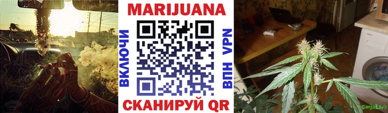 Конопля сатива  Глазов 